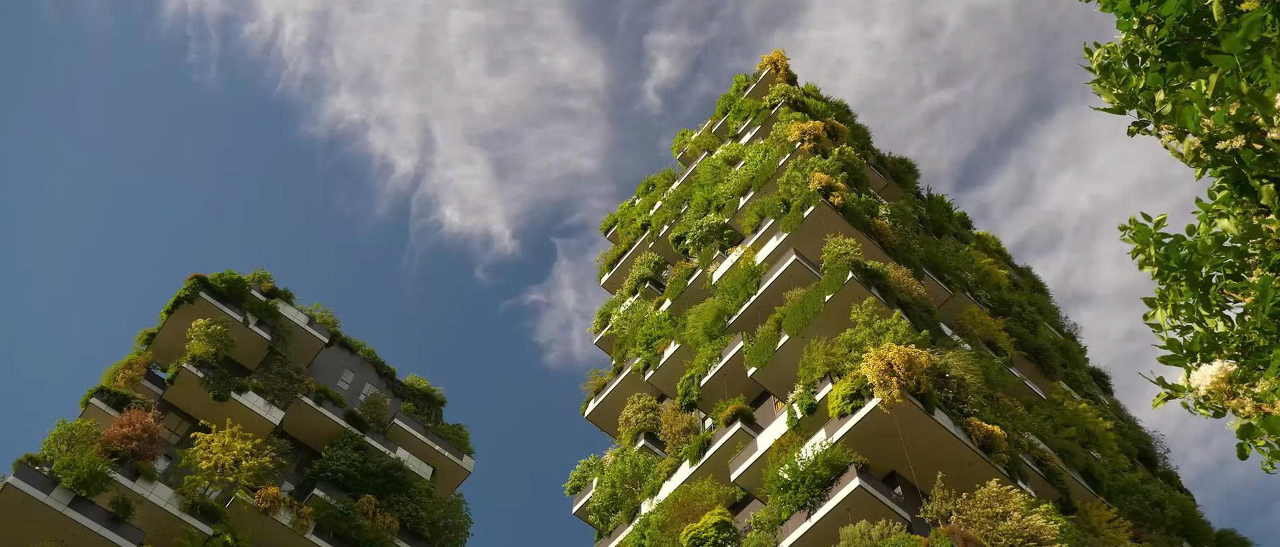 Fashion Architecture